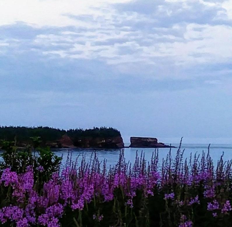 Moore'S Specialties Fundy Bay House Rental Gardner Creek Eksteriør billede