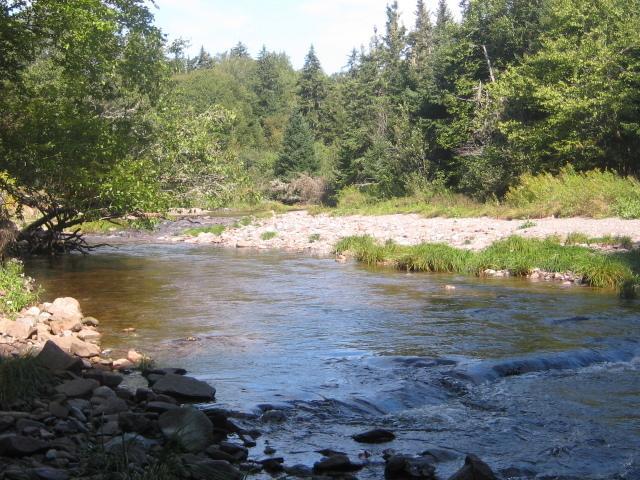 Moore'S Specialties Fundy Bay House Rental Gardner Creek Eksteriør billede
