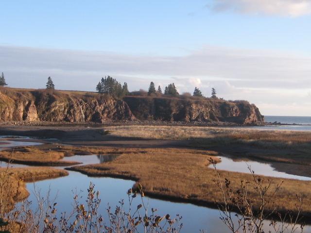 Moore'S Specialties Fundy Bay House Rental Gardner Creek Eksteriør billede