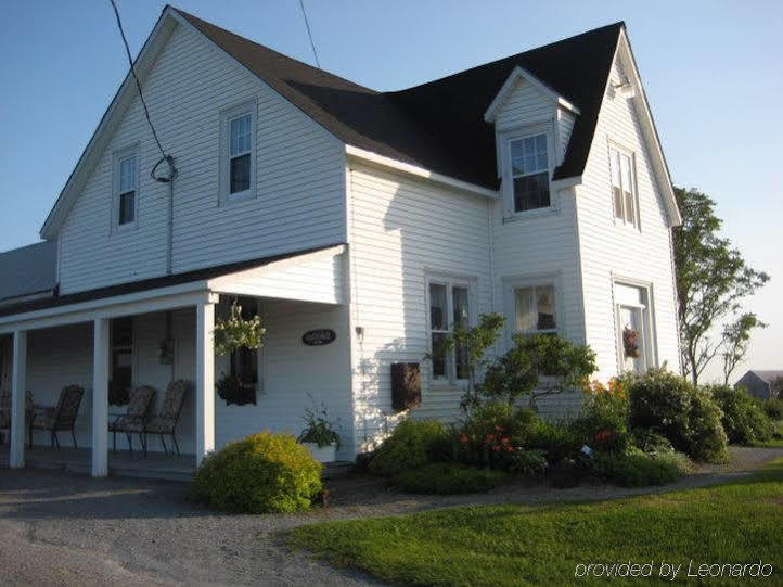 Moore'S Specialties Fundy Bay House Rental Gardner Creek Eksteriør billede