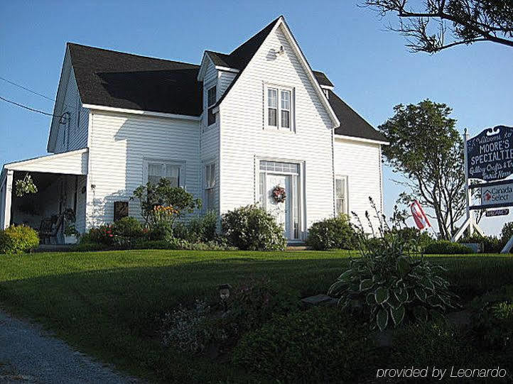 Moore'S Specialties Fundy Bay House Rental Gardner Creek Eksteriør billede