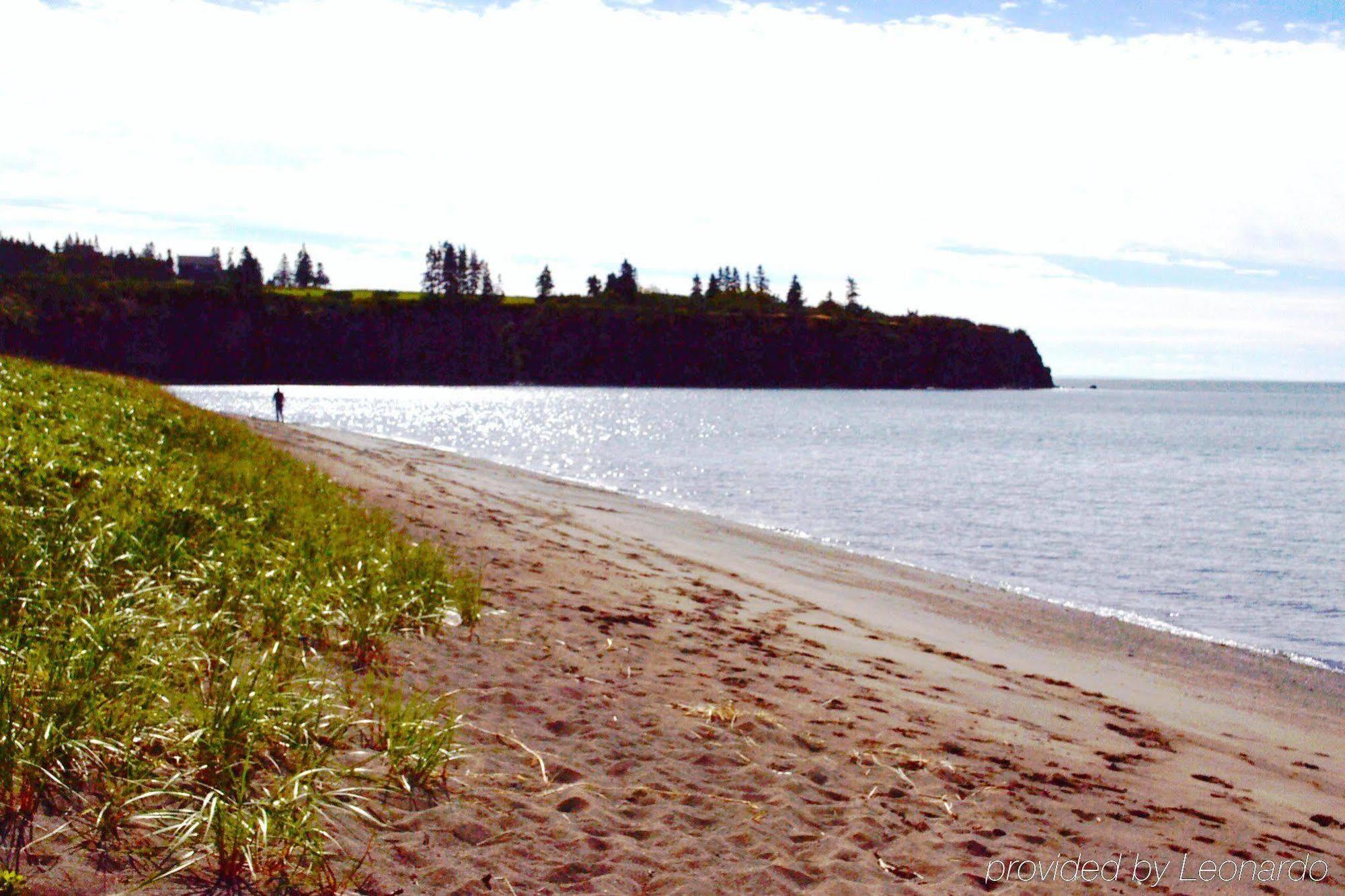 Moore'S Specialties Fundy Bay House Rental Gardner Creek Eksteriør billede