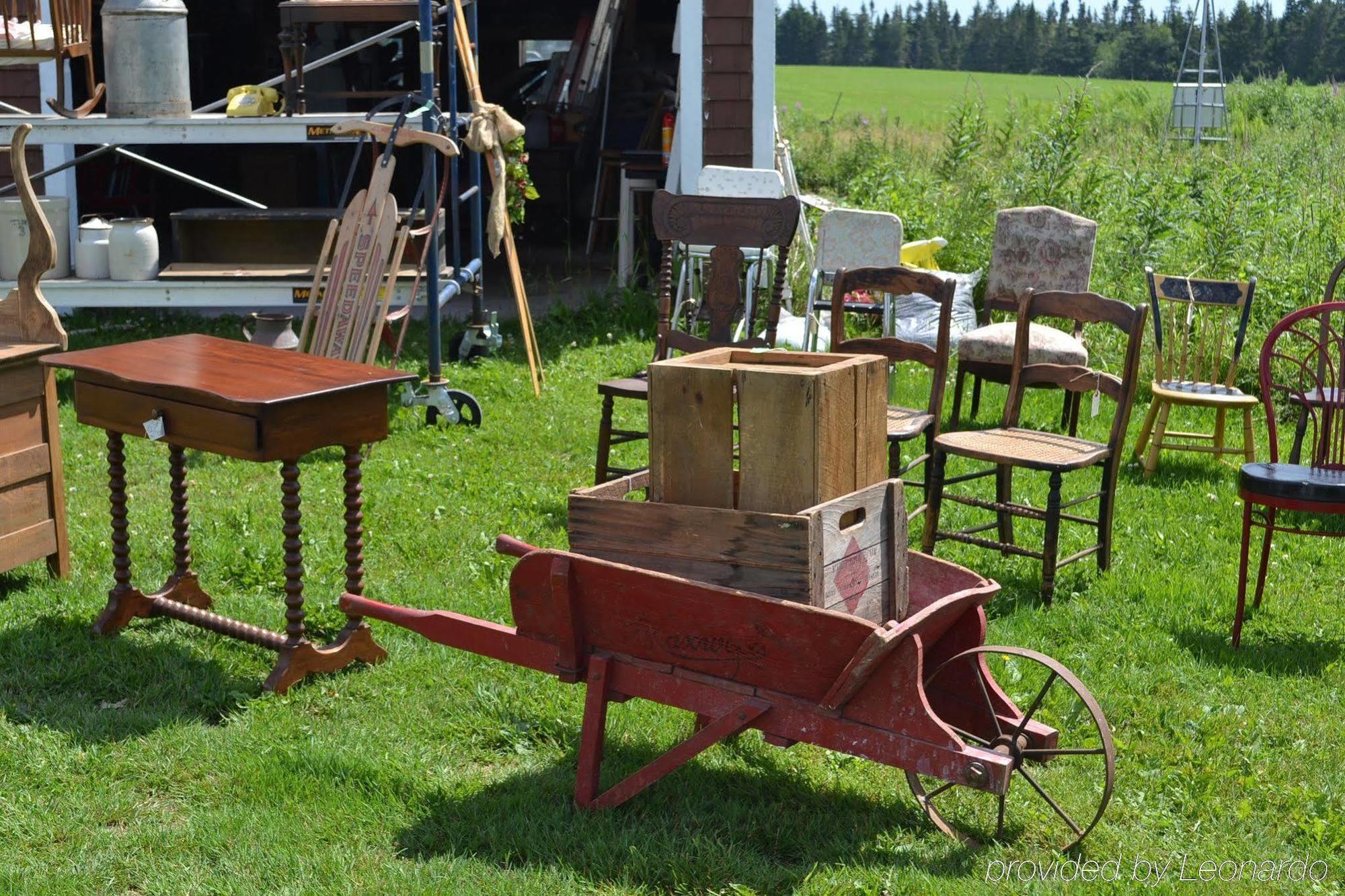 Moore'S Specialties Fundy Bay House Rental Gardner Creek Eksteriør billede