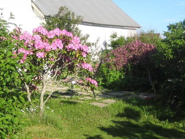 Moore'S Specialties Fundy Bay House Rental Gardner Creek Eksteriør billede