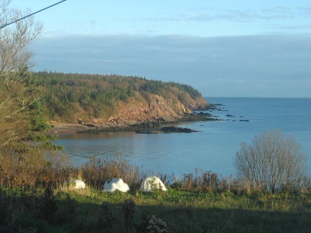 Moore'S Specialties Fundy Bay House Rental Gardner Creek Eksteriør billede