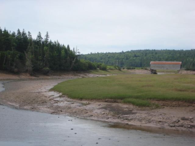 Moore'S Specialties Fundy Bay House Rental Gardner Creek Eksteriør billede